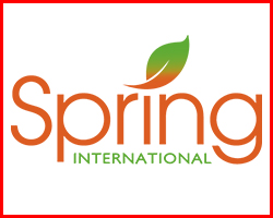 Spring International College