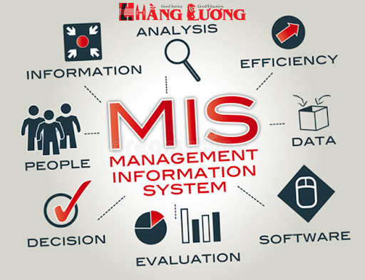 Các thành phần chính của hệ thống MIS