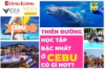 Du học Philippines tại trường anh ngữ IDEA Academy - Thiên đường học tập bậc nhất ở Cebu có gì hot ?